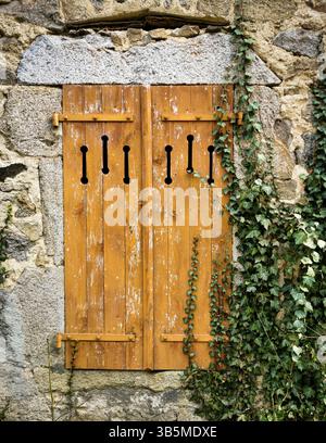 Les volets en bois avec une finition usée sont fermés sur un mur de pierre, entouré de lierre rampant, créant une atmosphère rustique charmante dans un cadre extérieur Banque D'Images