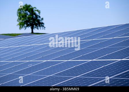 02 mai 2025, Bavière, Münsing : le soleil brille sur un parc solaire dans un champ près de l'autoroute A95. Il y a un arbre en arrière-plan. Photo : Sven Hoppe/dpa Banque D'Images