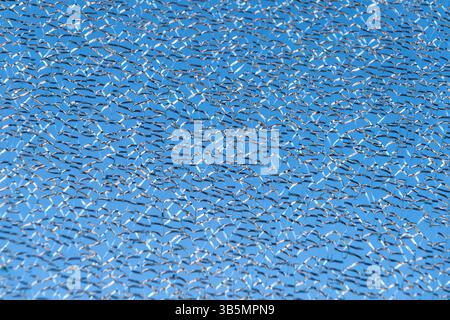 Fond bleu à motifs avec motif de texture de verre craquelé. Banque D'Images