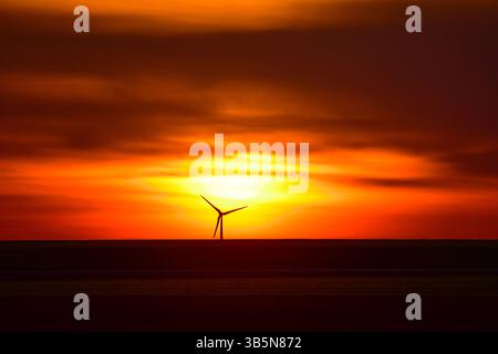 Schwaneberg/Börde - Windräder im Sonnenuntergang, fotografiert am 29. Avril 2025bei Schwaneberg BEI Magdeburg in der Magdeburger Börde. Schwaneberg Sachsen-Anhalt Deutschland  JK10093 *** Schwaneberg Börde éoliennes au coucher du soleil, photographiées le 29 avril 2025 près de Schwaneberg près de Magdebourg dans le Magdebourg Börde Schwaneberg Saxe Anhalt Allemagne JK10093 Banque D'Images