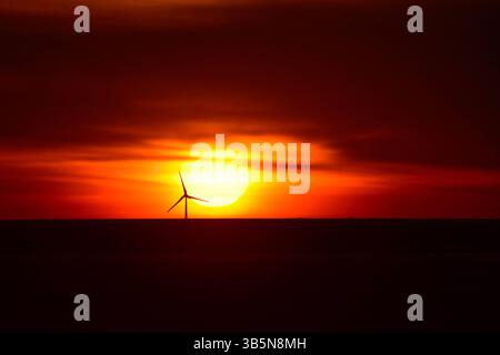 Schwaneberg/Börde - Windräder im Sonnenuntergang, fotografiert am 29. Avril 2025bei Schwaneberg BEI Magdeburg in der Magdeburger Börde. Schwaneberg Sachsen-Anhalt Deutschland  JK10110 *** Schwaneberg Börde éoliennes au coucher du soleil, photographiées le 29 avril 2025 près de Schwaneberg près de Magdebourg dans le Magdebourg Börde Schwaneberg Saxe Anhalt Allemagne JK10110 Banque D'Images