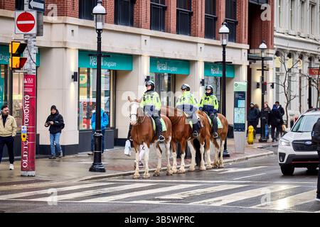 Toronto Canada capitale de la province canadienne Ontario police montée sur chevaux Banque D'Images
