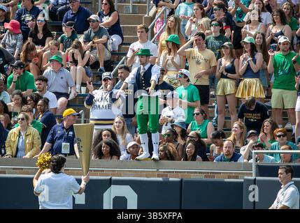 23 avril 2022 : section étudiante notre Dame lors du match annuel de football Blue-Gold Spring de notre Dame au stade notre Dame de South Bend, Indiana. L'or a vaincu Blue 13-10. John Mersits/CSM.(image de crédit : © John Mersits/CSM via ZUMA Press Wire) Banque D'Images