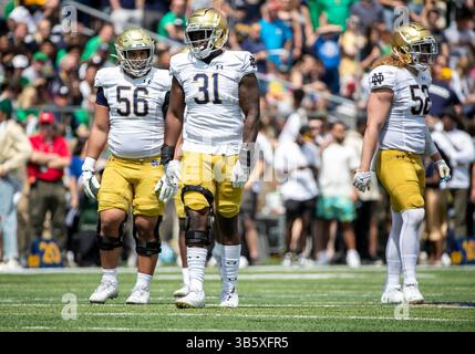 23 avril 2022 : le lineman défensif de notre Dame Howard Cross III (56), le lineman défensif de notre Dame Nana Osafo-Mensah (31), et le linebacker de notre Dame Bo Bauer (52) lors du match annuel de football Blue-Gold Spring de notre Dame au stade notre Dame de South Bend, Indiana. L'or a vaincu Blue 13-10. John Mersits/CSM.(image de crédit : © John Mersits/CSM via ZUMA Press Wire) Banque D'Images