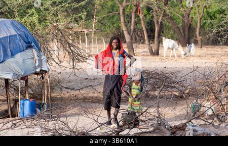 Camp de tribu nomade de Wodaabe près du lac Tchad, Tchad Banque D'Images