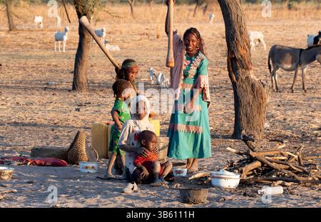 Piler le grain dans la farine, camp tribal nomade de Wodaabe près du lac Tchad, Tchad Banque D'Images