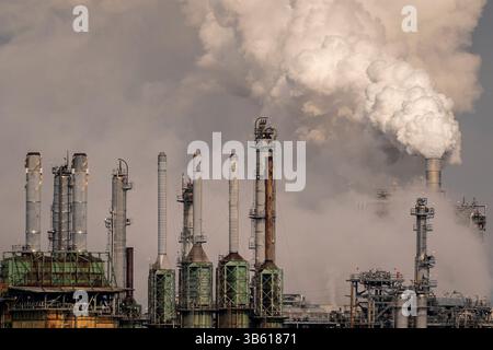 7 mars 2022, Anacortes, Washington, États-Unis : la raffinerie Marathon Anacortes est vue à Anacortes, Washington, le 7 mars 2022. Les prix du pétrole continuent de fluctuer à mesure que l'invasion russe de l'Ukraine se poursuit. (Image de crédit : © David Ryder/ZUMA Press Wire) Banque D'Images