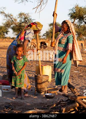 Piler le grain dans la farine, camp tribal nomade de Wodaabe près du lac Tchad, Tchad Banque D'Images
