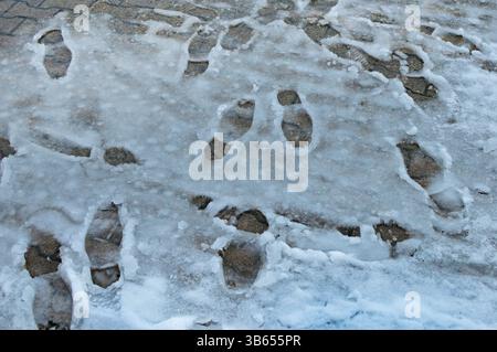 De nombreuses empreintes humaines dans la neige mouillée sur un trottoir pavé Banque D'Images
