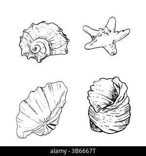 Coquille océanique, esquissée à l'encre noire et blanche. Illustration marine vectorielle. Ensemble de coquilles spirales du monde sous-marin de l'océan est isolé sur Illustration de Vecteur