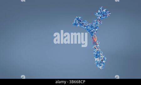 Anticorps, illustration. Cette molécule en y possède deux bras qui peuvent se lier à des antigènes spécifiques, par exemple des protéines virales ou bactériennes. Ce faisant, ils marquent l'antigène pour la destruction par les phagocytes, les globules blancs qui ingèrent et détruisent les corps étrangers. Les anticorps peuvent également tuer certains pathogènes directement et neutraliser les toxines. Banque D'Images