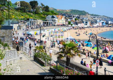 Lyme Regis, Dorset, Royaume-Uni. 3 mai 2025. Météo britannique : les visiteurs et les habitants affluent vers la station balnéaire de Lyme Regis pour se prélasser sous un soleil brûlant le week-end de vacances bancaires. Les gens ont fait le meilleur du long week-end en profitant du soleil sur la plage bondée et en plongeant dans la mer. Crédit : Celia McMahon/Alamy Live News Banque D'Images