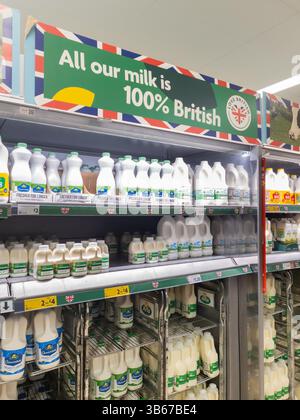 Lait sur les étagères de Tesco avec logo « Love British » et signe indiquant que tout notre lait est 100% britannique, Royaume-Uni. Concept : lait de supermarché, fournisseurs de lait Banque D'Images
