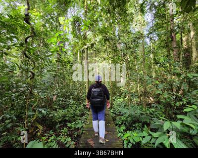 Femme marchant sur une passerelle dans la vallée de Danum Jungle à Lahad Datu Banque D'Images