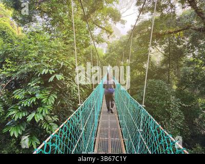 Vue arrière de la femme à Tree Top Canopy dans la forêt tropicale de Danum Valley à Lahad Datu Banque D'Images