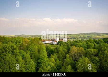Vue aérienne sur une verdoyante canopée de la forêt, révélant une grande demeure ancestrale blanche ou un château niché dans le paysage au-delà. Banque D'Images