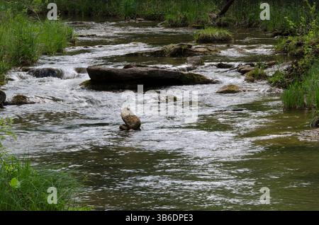 Limestone Creek coule au printemps sur la Chickasaw National Recreation Area Banque D'Images