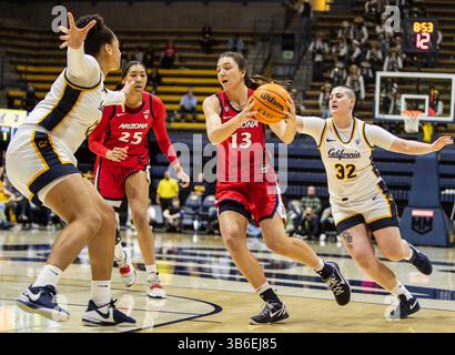 25 février 2024 Berkeley, CA États-Unis la garde de l'Arizona Helena Pueyo (13) va au panier pendant le match de basket féminin de la NCAA entre les Wildcats de l'Arizona et les Golden Bears de Californie. Arizona a battu la Californie 87-68 au Haas Pavilion Berkeley Calif. Thurman James / CSM (crédit image : © Thurman James/CSM via ZUMA Press Wire) Banque D'Images