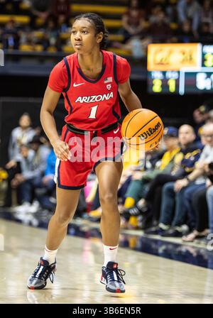25 février 2024 Berkeley, CA États-Unis la garde de l'Arizona Courtney Blakely (1)définit le match de basket féminin de la NCAA entre les Wildcats de l'Arizona et les Golden Bears de Californie. Arizona a battu la Californie 87-68 au Haas Pavilion Berkeley Calif. Thurman James / CSM (crédit image : © Thurman James/CSM via ZUMA Press Wire) Banque D'Images