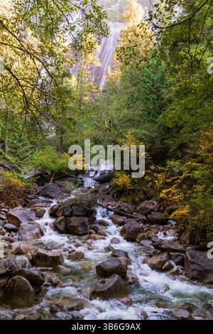 Une rivière serpente à travers un paysage automnal dans le parc provincial Shannon Falls, Colombie-Britannique, Canada. Banque D'Images