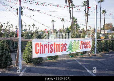 Los Angeles, Californie, États-Unis - 12-02-2019 : une vue d'un magasin local d'arbres de Noël. Banque D'Images