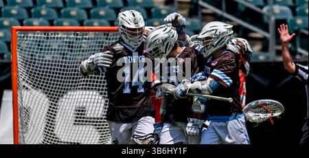 26 mai 2024, Philadelphie, Pennsylvanie, États-Unis : Tufts célèbre un but lors du match de crosse de la NCAA Division III National Championship Lacrosse entre Tufts et Rochester Institute of Technology au Lincoln Financial Field à Philadelphie, Pennsylvanie, le 26 mai 2024. Scott Serio/Cal Sport Media (crédit image : Banque D'Images