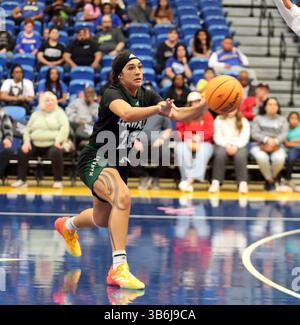 9 mars 2024 - MeiLani McBee #23, garde de Hawai'i Rainbow Wahine passe la balle lors d'un match entre les Roadrunners de CSU Bakersfield et les Wahine Hawai'i Rainbow au Centre Icardo à Bakersfield, CA - Michael Sullivan/CSM (crédit image : © Michael Sullivan/CSM via ZUMA Press Wire) Banque D'Images