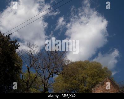 Cremona, Italie - 12 avril 2025 le ciel ensoleillé ci-dessus reflète la beauté de la nature avec ses formations nuageuses et la riche variété de feuillage qui pousse avec Col Banque D'Images