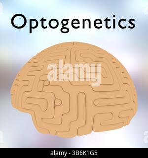 Illustration 3D d'un cerveau humain, intitulé Optogenetics. Banque D'Images