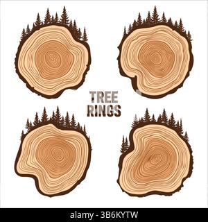 Tronc d'arbre rond coupé avec des arbres et de la forêt. Tranches de pin scié ou de chêne, bois d'œuvre. Scier bois coupé, bois. Texture en bois brun avec anneaux d'arbre. Dessiné à la main Illustration de Vecteur