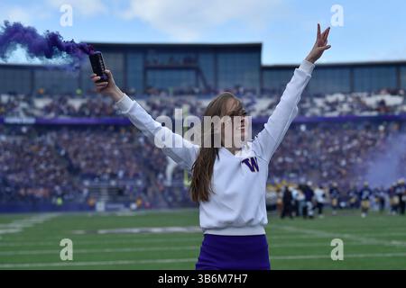 11 novembre 2023 : Washington Cheerleader attire la foule avant le match de football de la NCAA entre les Utah Utes et les Washington Huskies au Husky Stadium de Seattle, WA. Steve Faber/CSM (crédit image : © Steve Faber/CSM via ZUMA Press Wire) Banque D'Images