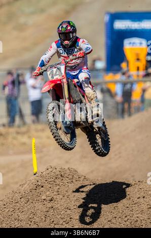 01 juin 2024 Sacramento, CA USA Dylan Ferrandis Phoenix Racing Honda(14)prend de l'air dans la section 27-28 lors du Championnat Pro Motocross 450 au Hangtown Classic Sacramento, CA Thurman James / CSM (crédit image : © Thurman James/CSM via ZUMA Press Wire) Banque D'Images