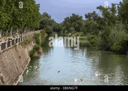 22 mai 2022, Madrid, Espagne : jardin de l'île dans les jardins royaux espagnols, jardin du parterre, Aranjuez, Espagne...le JardÃ­n de la Isla est un jardin historique situé au nord du Palais Royal d'Aranjuez. C'est l'une des principales œuvres de jardin de la Renaissance espagnole avec la Casa de Campo à Madrid. Depuis 1931, il est un bien d'intérêt culturel et depuis 2001, il est inscrit au patrimoine mondial dans le cadre de la Déclaration du paysage culturel d'Aranjuez. (Crédit image : © Sergi Reboredo/ZUMA Press Wire) Banque D'Images