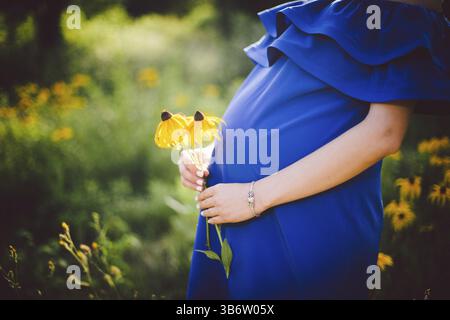 Femme enceinte dans une robe bleue tient des fleurs jaunes dans le fond d'une prairie verte en été par temps ensoleillé Banque D'Images