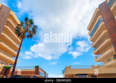Deux bâtiments beiges modernes avec plusieurs balcons s'élèvent de chaque côté d'un grand palmier, encadrant un ciel bleu clair avec des nuages dispersés. Banque D'Images