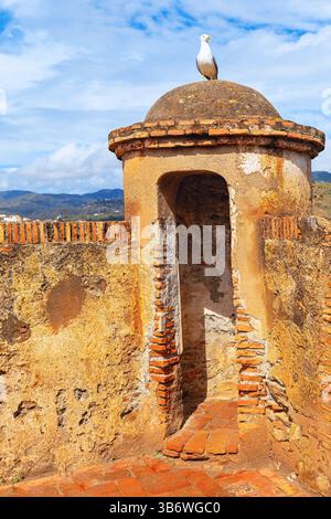 Tour de guet en briques altérées. Mouette perchée au sommet d'une structure de briques en forme de dôme avec une ouverture voûtée, partie d'un vieux mur de fortification Banque D'Images