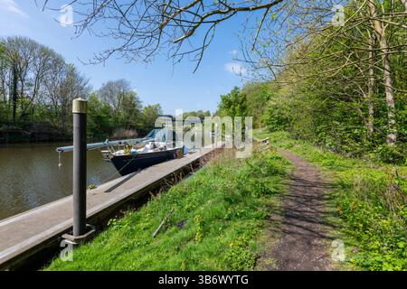 Amarrages au bord de la rivière Weaver en dessous de l'ascenseur Anderton près de Northwich dans le Cheshire, en Angleterre. Banque D'Images