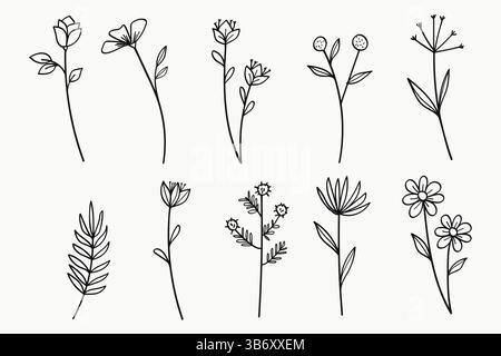 Fleurs et feuilles Line Art Collection de dessin à la main. Illustration vectorielle Illustration de Vecteur