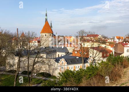 Vue sur la vieille ville à Tallinn, Estonie Banque D'Images