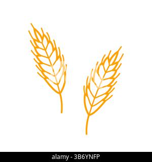 Épillets pour plantes de blé. Dessin à la main de l'icône de l'avoine, du seigle, de l'orge. Illustration vectorielle isolée en style de ligne doodle. Illustration de Vecteur