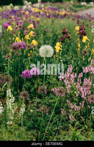 Une prairie vibrante remplie de diverses fleurs sauvages, mettant en valeur les couleurs et les textures dans la lumière du soleil printanière. Banque D'Images