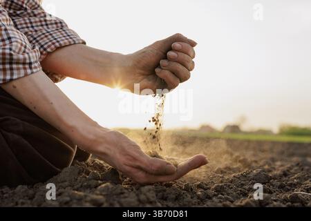 Gros plan des mains des agriculteurs vérifiant la qualité du sol sec au lever du soleil, symbolisant l’agriculture et la protection de l’environnement. Banque D'Images