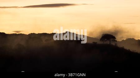 Vue panoramique sur les collines entourées de brume dans la lumière du soir heure d'or à Las Minas, province de Cocle, République du Panama, Amérique centrale. Banque D'Images