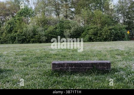 les gens jouant et se relaxant dans le parc vert public sous le ciel clair le jour ensoleillé au printemps. Photo de haute qualité Banque D'Images