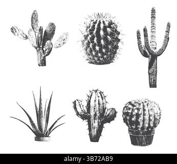 différents cactus avec effet photocopie vintage monochrome, conception de collage y2k Illustration de Vecteur