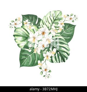 Aquarelle feuilles tropicales et fleurs d'orchidée blanche illustration isolée pour les dessins de forêt tropicale d'été. Monstera verte dessinée à la main, phalaenopsis Banque D'Images