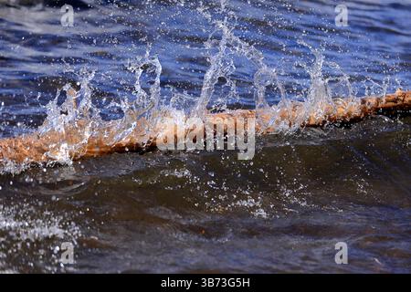 Au parc national de Yellowstone, Wyoming, États-Unis, les vagues s'écrasent contre une bûche de bois altérée, envoyant des éclaboussures à la surface d'eaux profondes et texturées. Banque D'Images