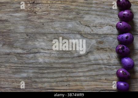 Oeufs de caille violets dans une rangée de colonnes sur un fond en bois. Vue de dessus des oeufs de caille avec coquille dans une colonne. Petits oeufs en pointillés sur fond en bois. EAS Banque D'Images