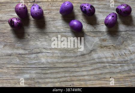 Oeufs de caille violets dans une rangée sur un espace de copie de fond en bois. Vue de dessus des oeufs de caille avec coquille dans une colonne. Petits oeufs en pointillés sur fond en bois. Banque D'Images