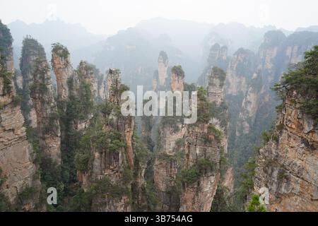 Majestueux piliers de grès du parc forestier national de Zhangjiajie, Chine Banque D'Images
